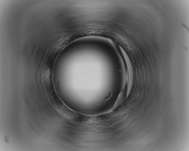 X0000095960550200801111404