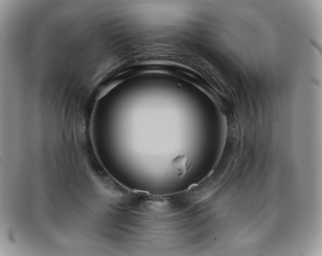 X0000095960552200801111404