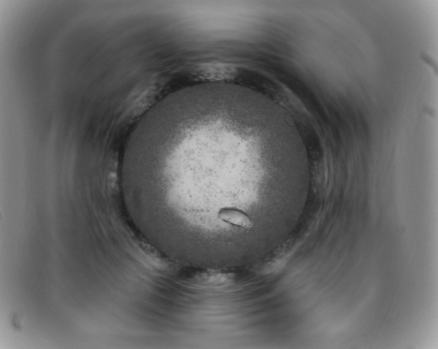 X0000095960553200801111404