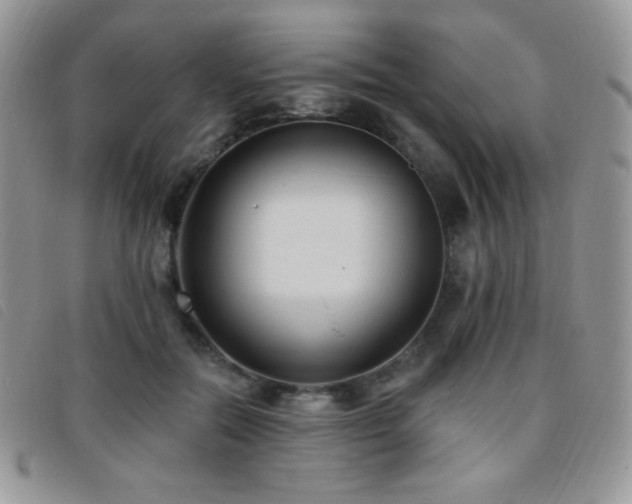 X0000095960554200801111404