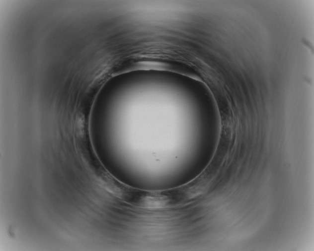 X0000095960556200801111404