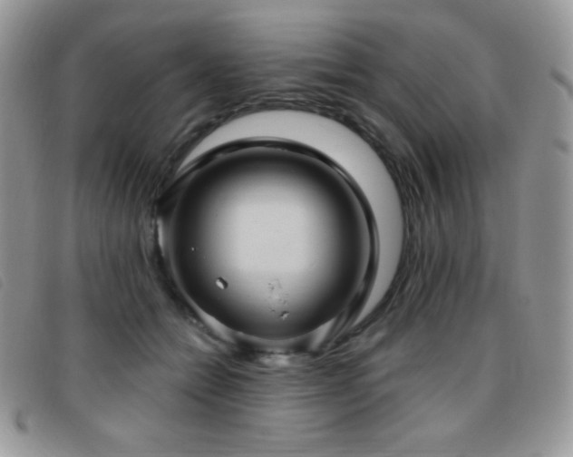 X0000095960558200801111404