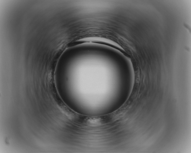 X0000095960560200801111404