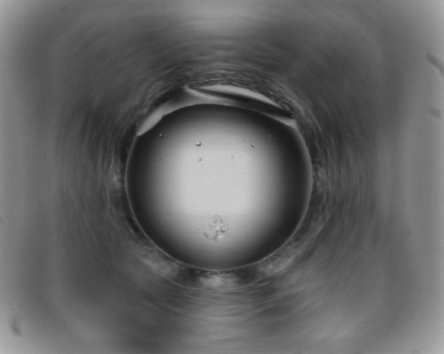 X0000095960561200801111404