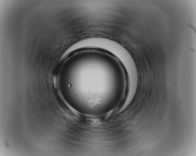 X0000095960562200801111404