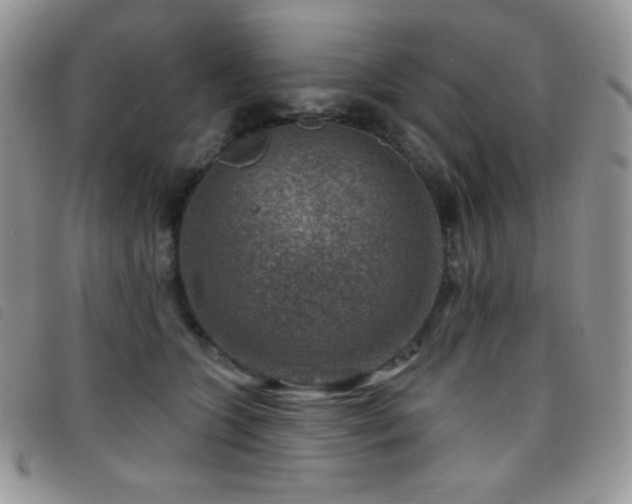 X0000095960563200801111404