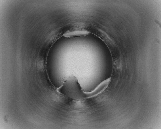 X0000095960564200801111404