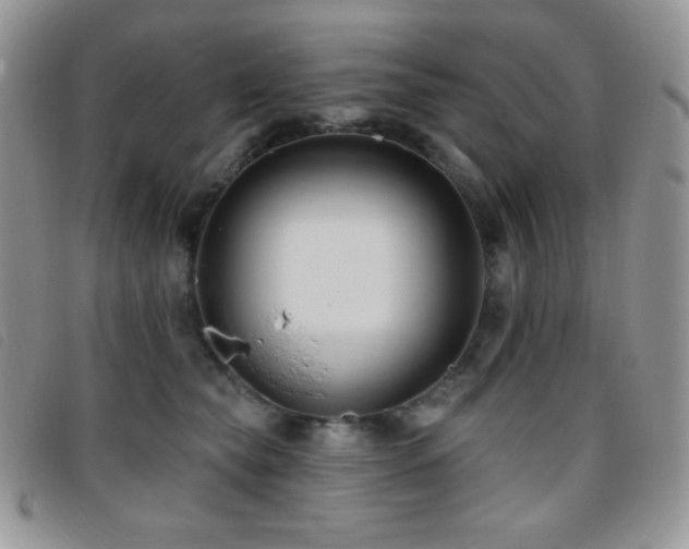 X0000095960565200801111404