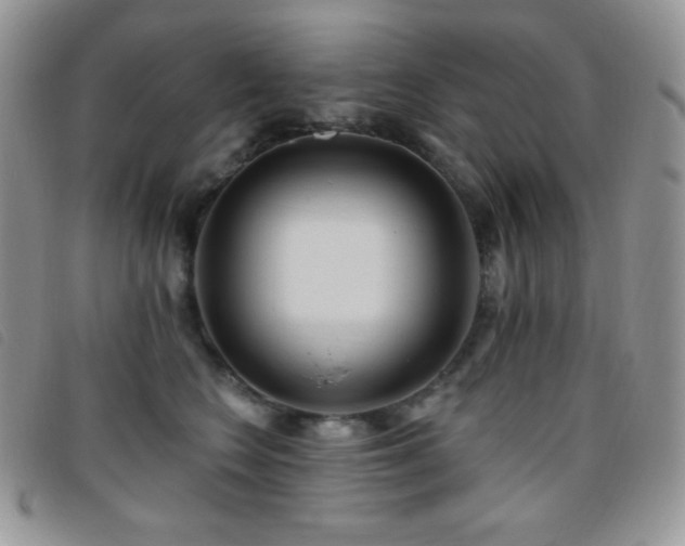 X0000095960566200801111404