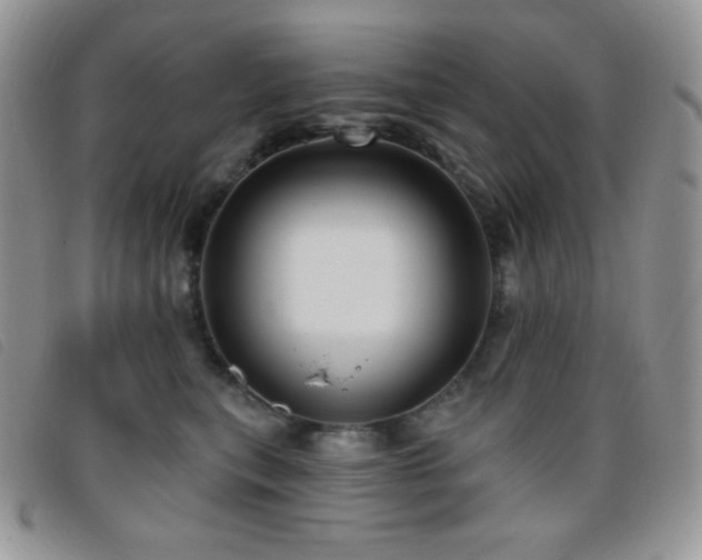 X0000095960567200801111404