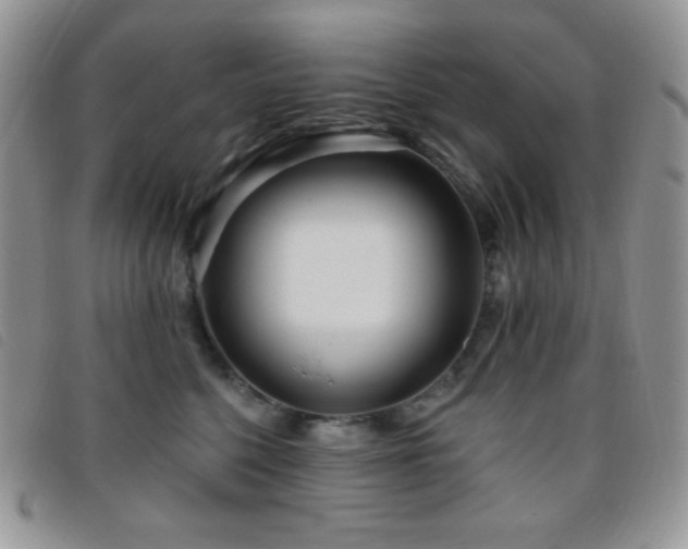 X0000095960568200801111404
