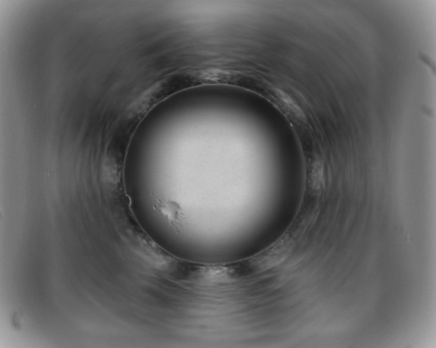 X0000095960569200801111404
