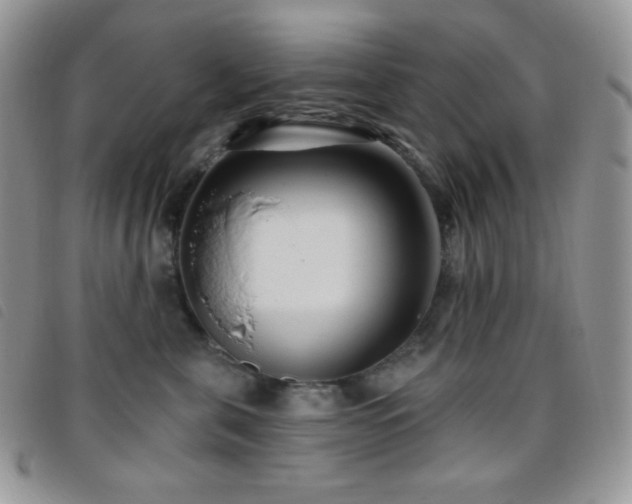 X0000095960571200801111404