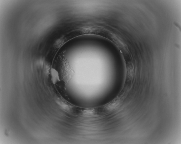 X0000095960574200801111404