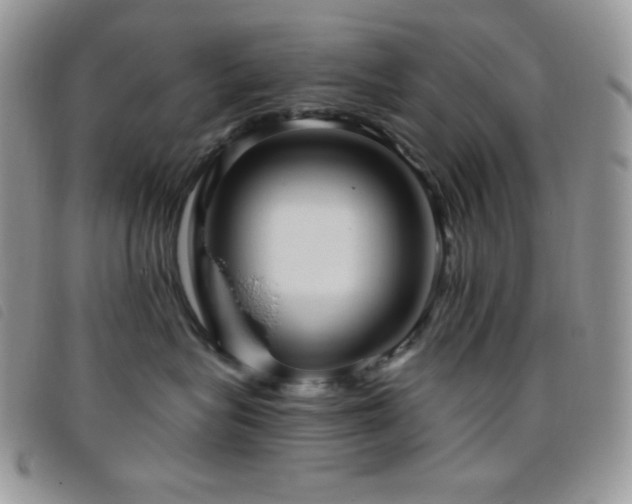 X0000095960575200801111404