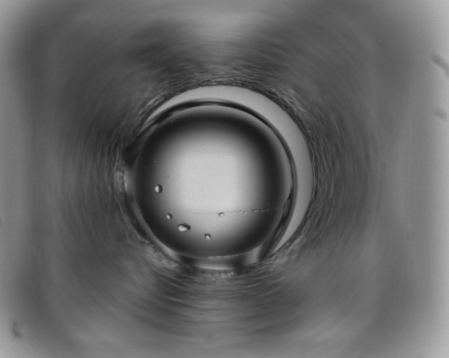 X0000095960576200801111404
