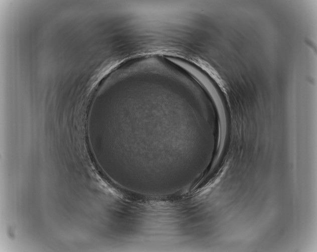 X0000095960577200801111404