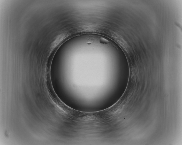 X0000095960578200801111404