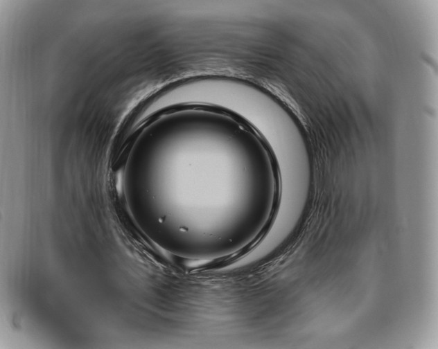 X0000095960579200801111404