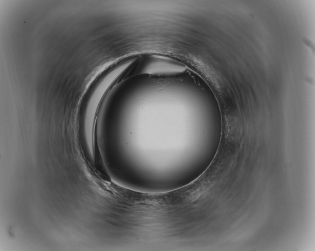 X0000095960580200801111404