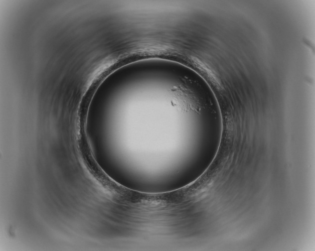 X0000095960582200801111404