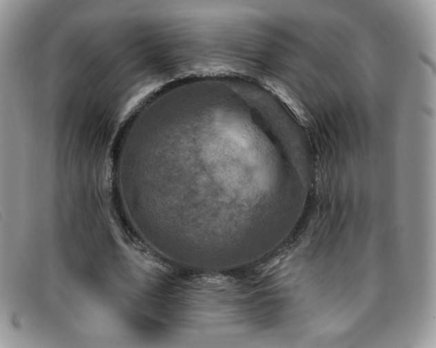 X0000095960583200801111404