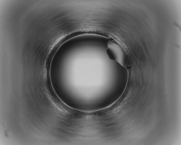 X0000095960584200801111404