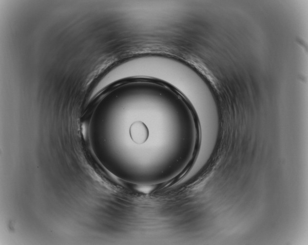 X0000095960585200801111404