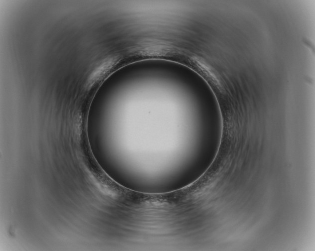 X0000095960586200801111404