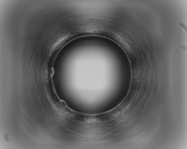 X0000095960587200801111404