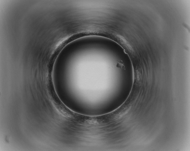 X0000095960588200801111404