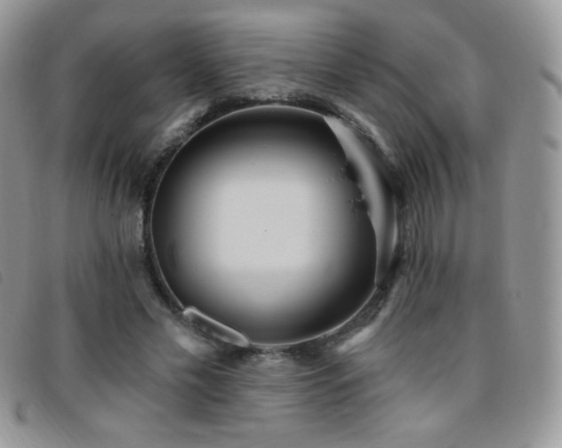 X0000095960589200801111404