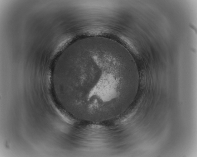 X0000095960590200801111404