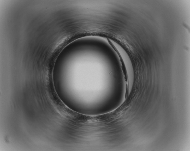 X0000095960591200801111404