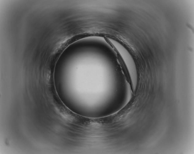 X0000095960592200801111404