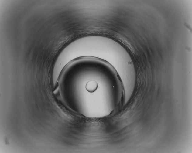 X0000095960593200801111404