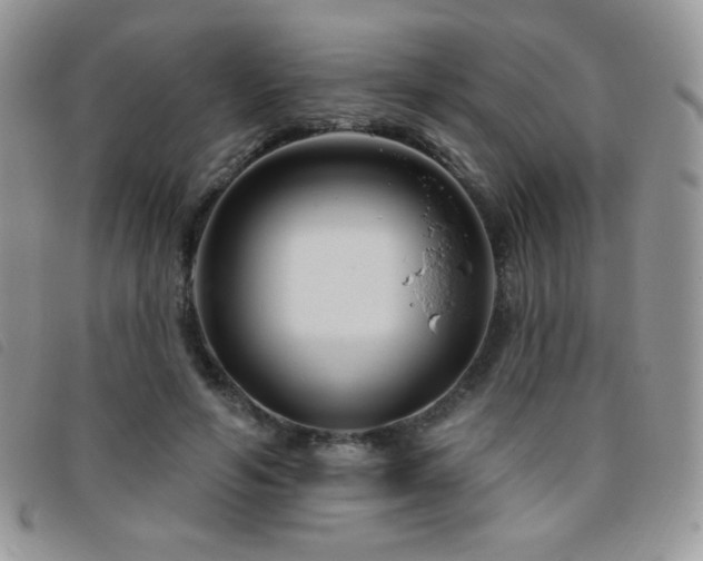 X0000095960594200801111404