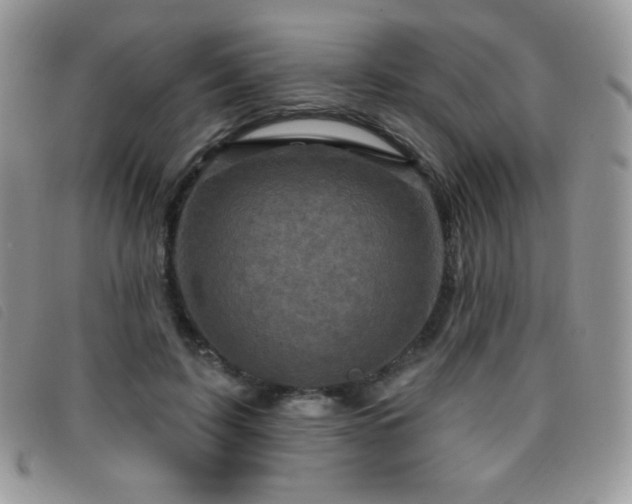 X0000095960595200801111404