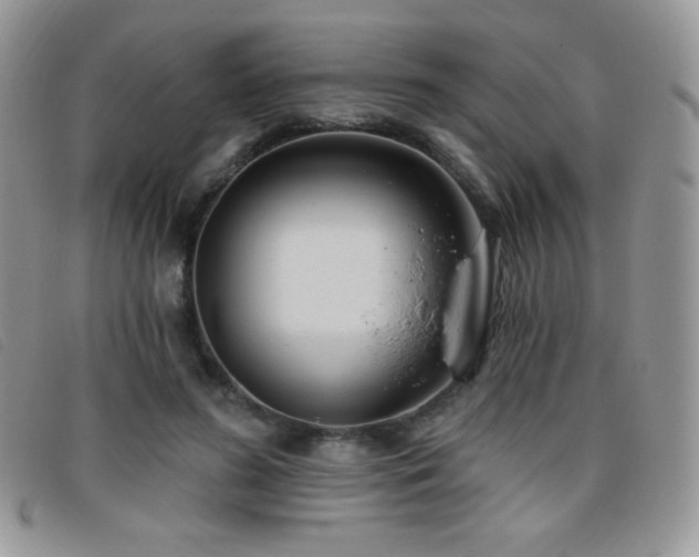 X0000095960596200801111404
