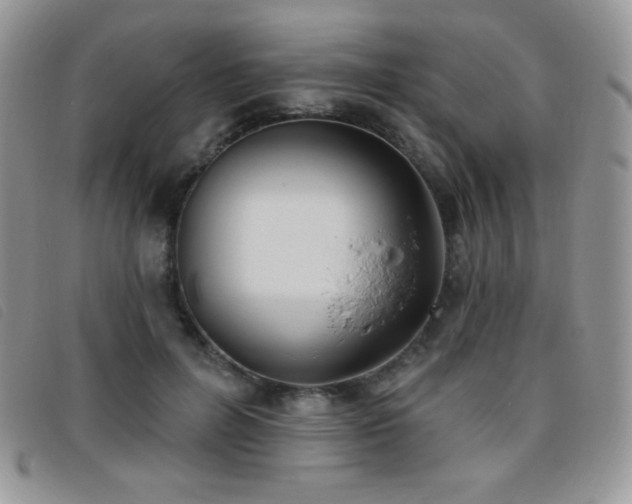 X0000095960600200801111403