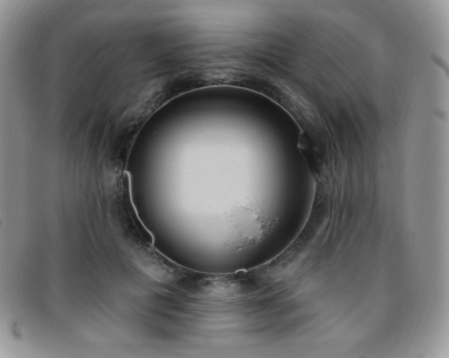 X0000095960601200801111403