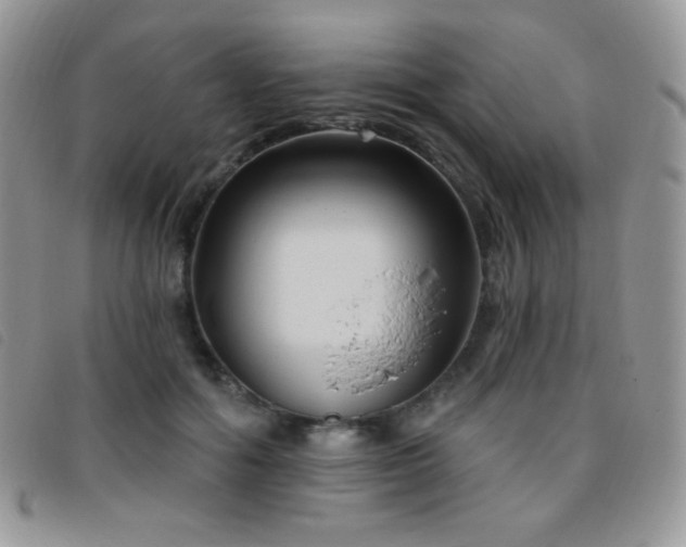 X0000095960602200801111403