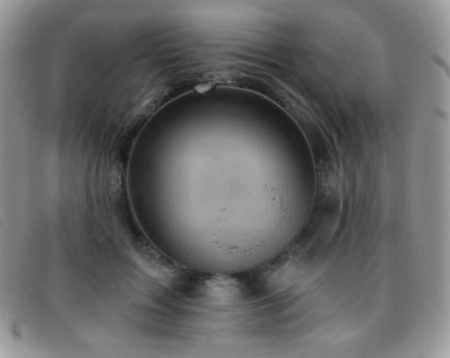 X0000095960603200801111403