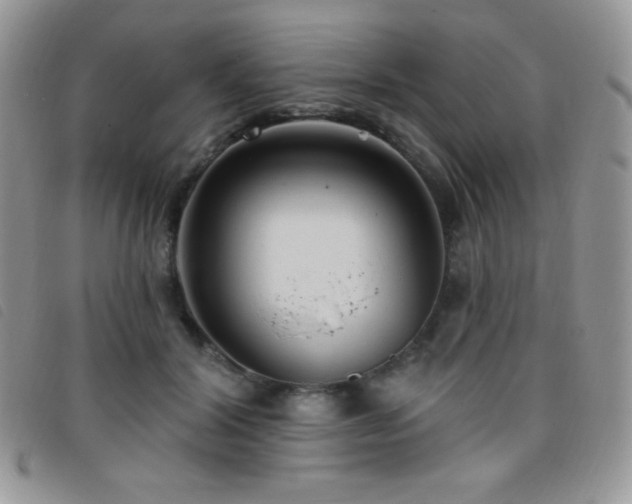 X0000095960604200801111403