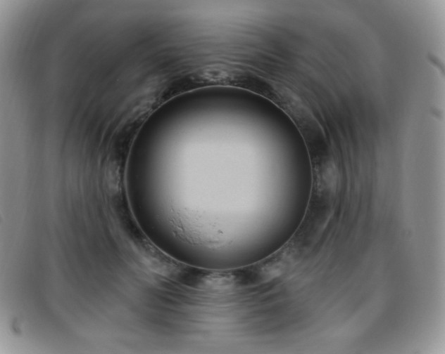 X0000095960606200801111403