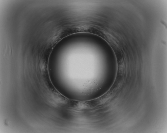 X0000095960608200801111403
