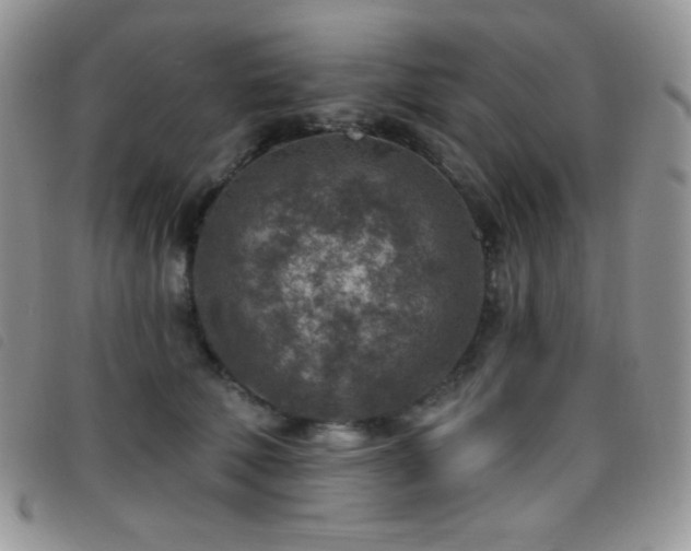 X0000095960610200801111403