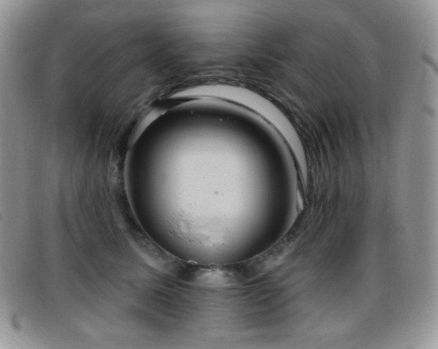 X0000095960611200801111403