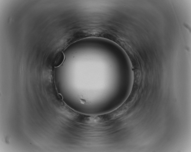 X0000095960612200801111403