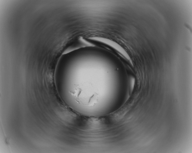 X0000095960613200801111403